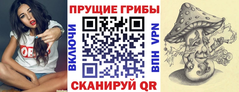 что такое   Емва  Галлюциногенные грибы Psilocybe 